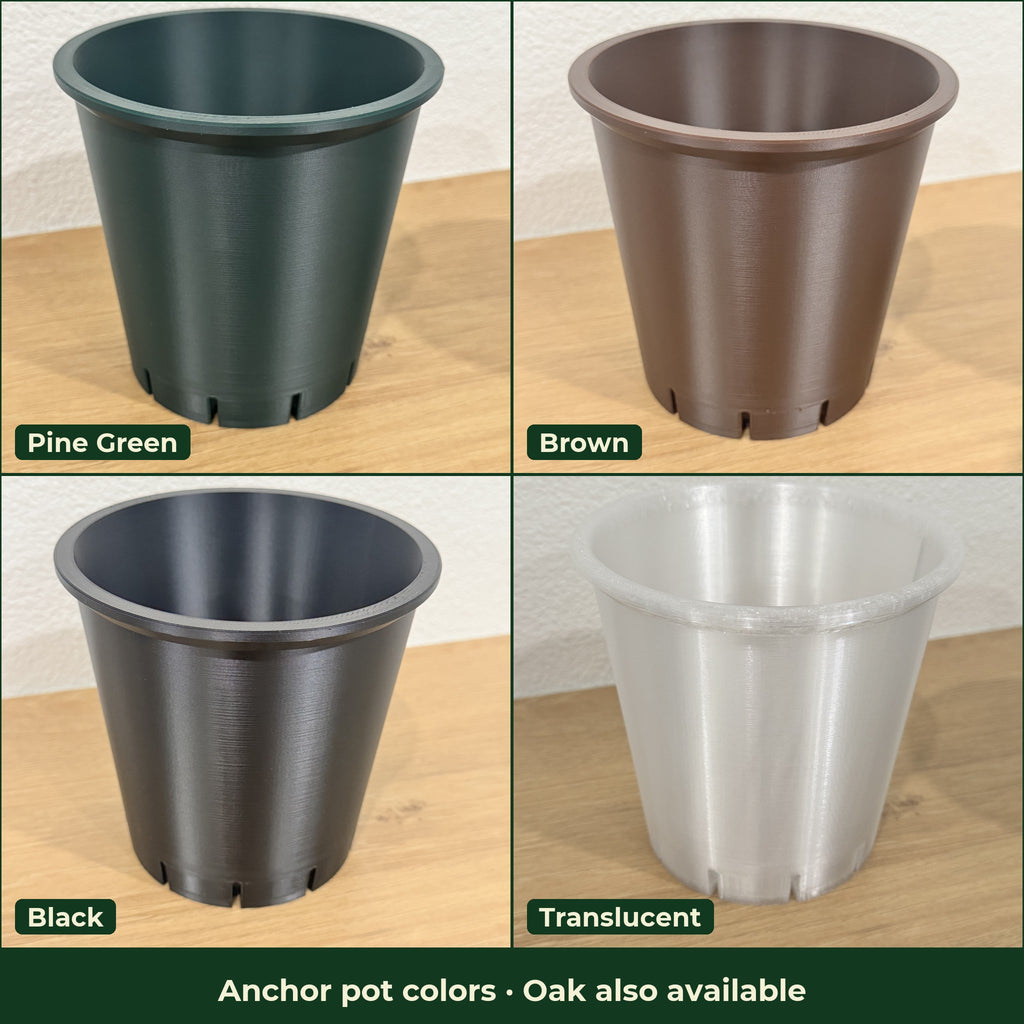 ModuMoss anchor pot colors: Pine Green, Brown, Black and Translucent