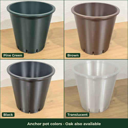 ModuMoss anchor pot colors: Pine Green, Brown, Black and Translucent