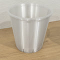 Translucent ModuMoss 6-inch anchor pot